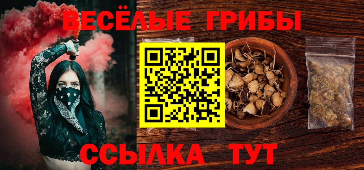 Галлюциногенные грибы мухоморы  Вход с VPN  Нововоронеж 