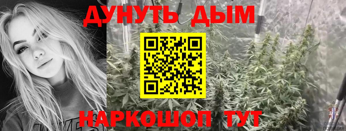 Конопля LSD WEED  МАРИХУАНА сатива  Марихуана сатива  Вход с VPN  Бошки марихуана индика  Нововоронеж 